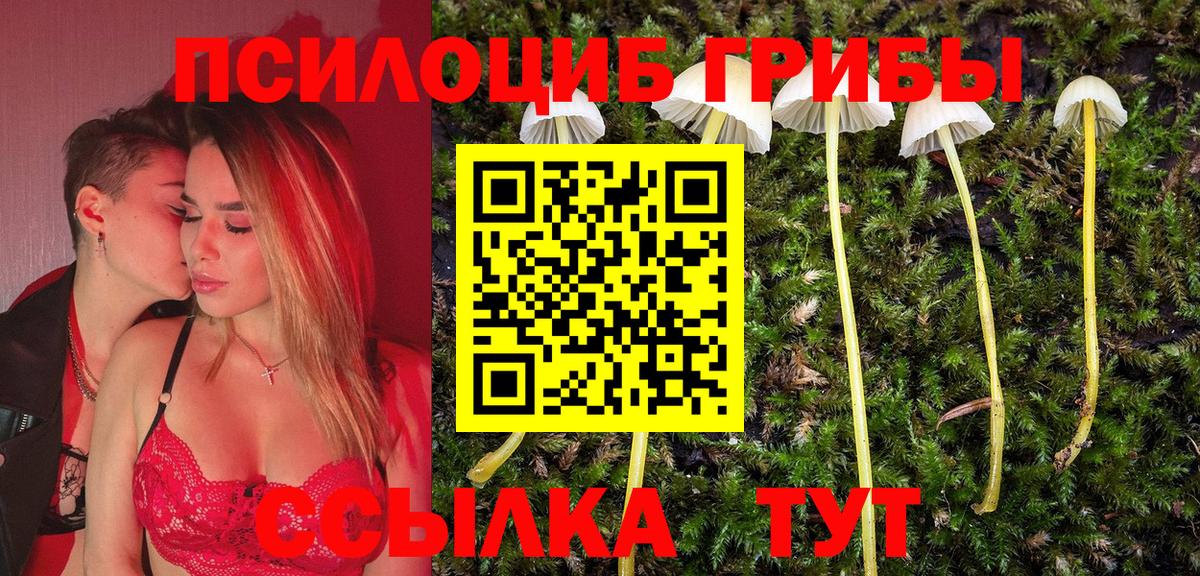 Псилоцибиновые грибы MAGIC MUSHROOMS  Вход с VPN  Клин  Галлюциногенные грибы Psilocybe 